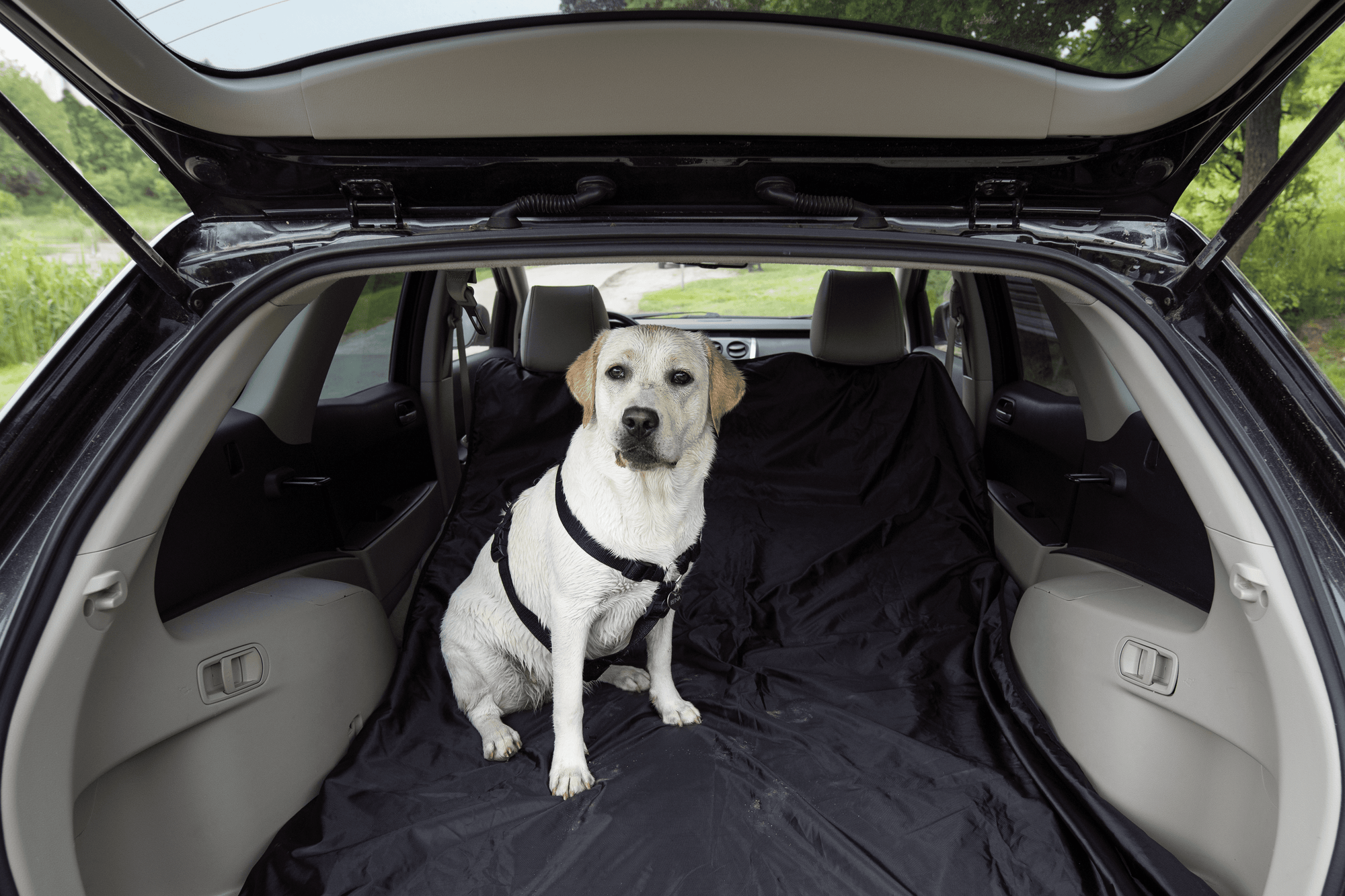 XL Waterproof Windproof Thick Fleece Outdoor and Stadium Blanket